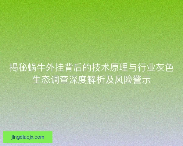 揭秘蜗牛外挂背后的技术原理与行业灰色生态调查深度解析及风险警示
